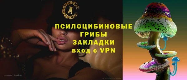 индика Богданович