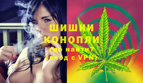 индика Богданович