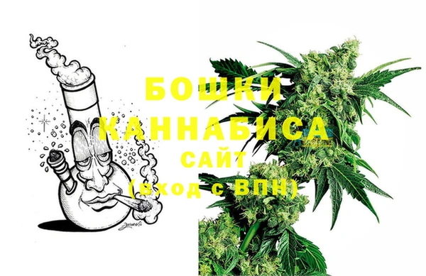 амф Богородицк
