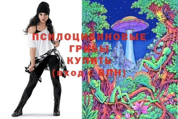 индика Богданович