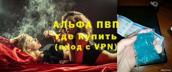 дживик Белокуриха